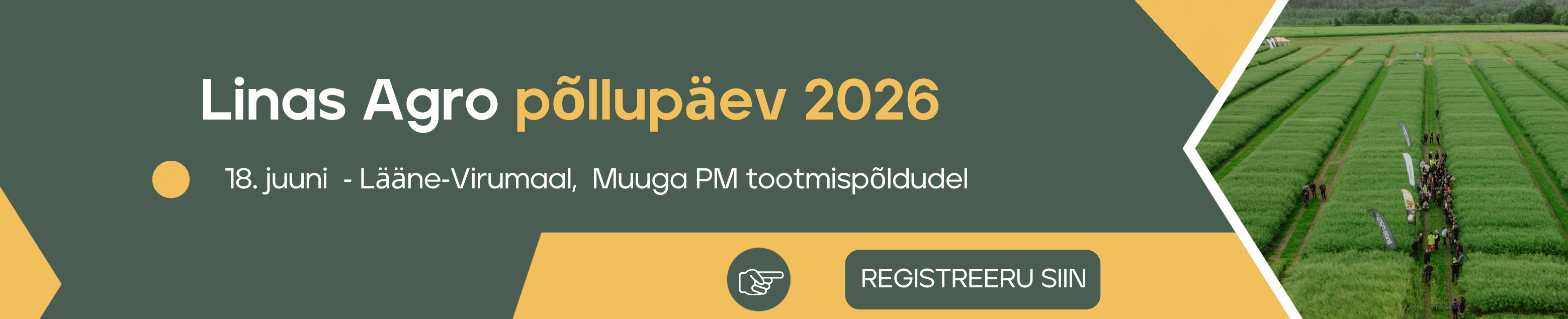 pollupaeev-2026